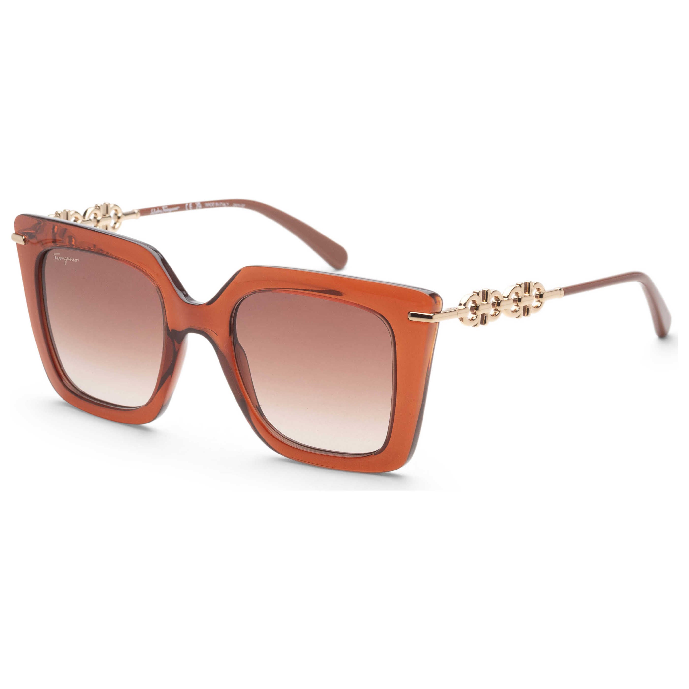 Gafas de Sol Salvatore Ferragamo Marrón Rectangular SF1041S-232-51