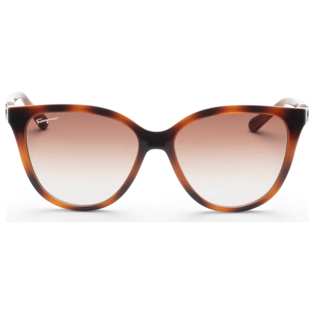 Gafas de Sol Salvatore Ferragamo Marrón Cat-Eye SF1056S-240-57