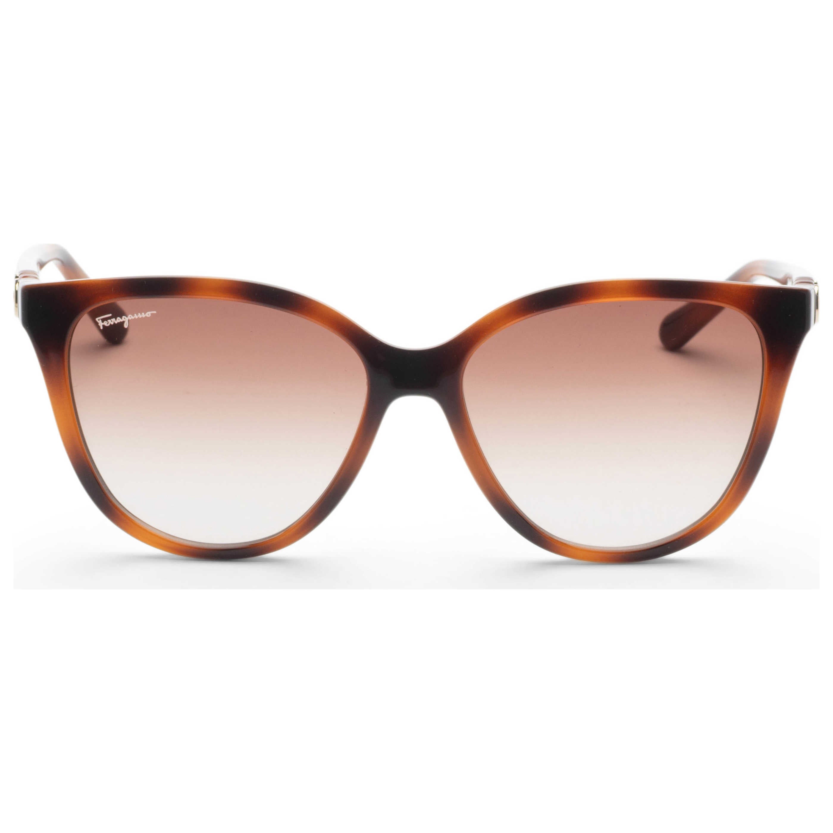 Gafas de Sol Salvatore Ferragamo Marrón Cat-Eye SF1056S-240-57
