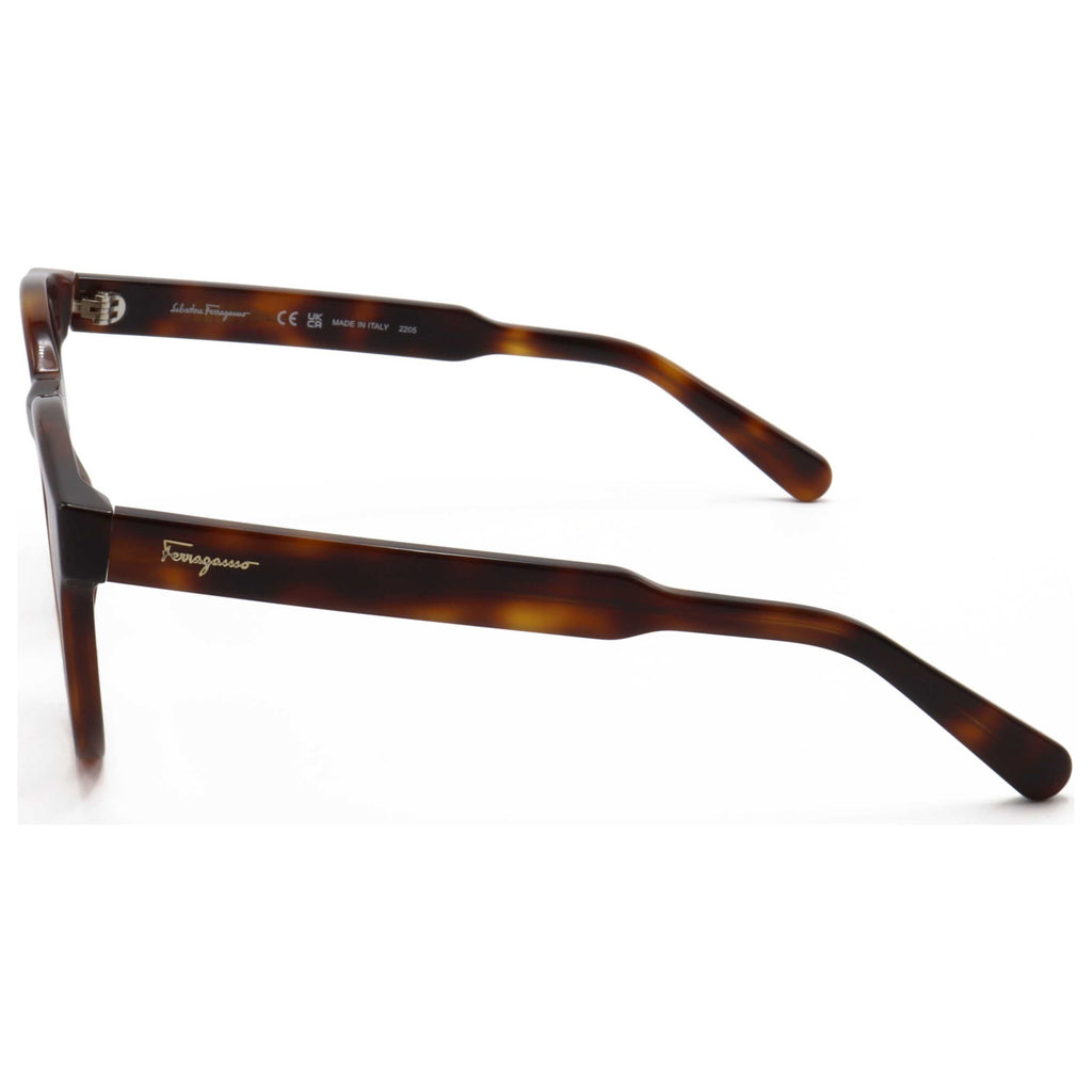 Gafas de Sol Salvatore Ferragamo Marrón Redonda SF1068S-240
