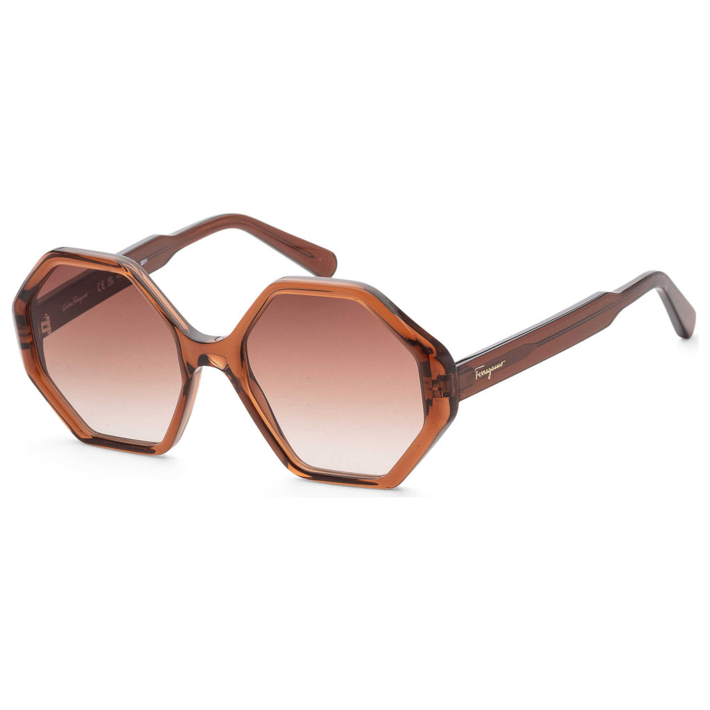 Gafas de Sol Salvatore Ferragamo Marrón Geométrica SF1070S-210