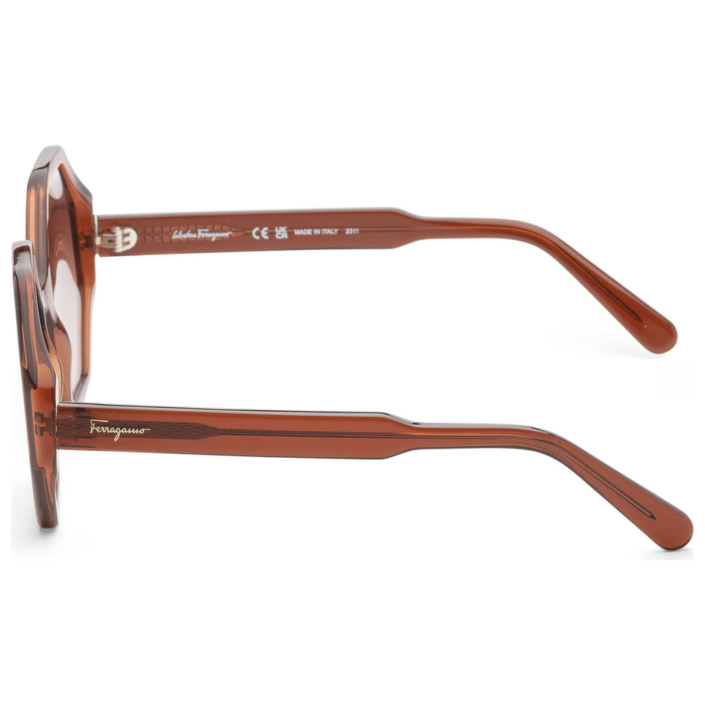 Gafas de Sol Salvatore Ferragamo Marrón Geométrica SF1070S-210