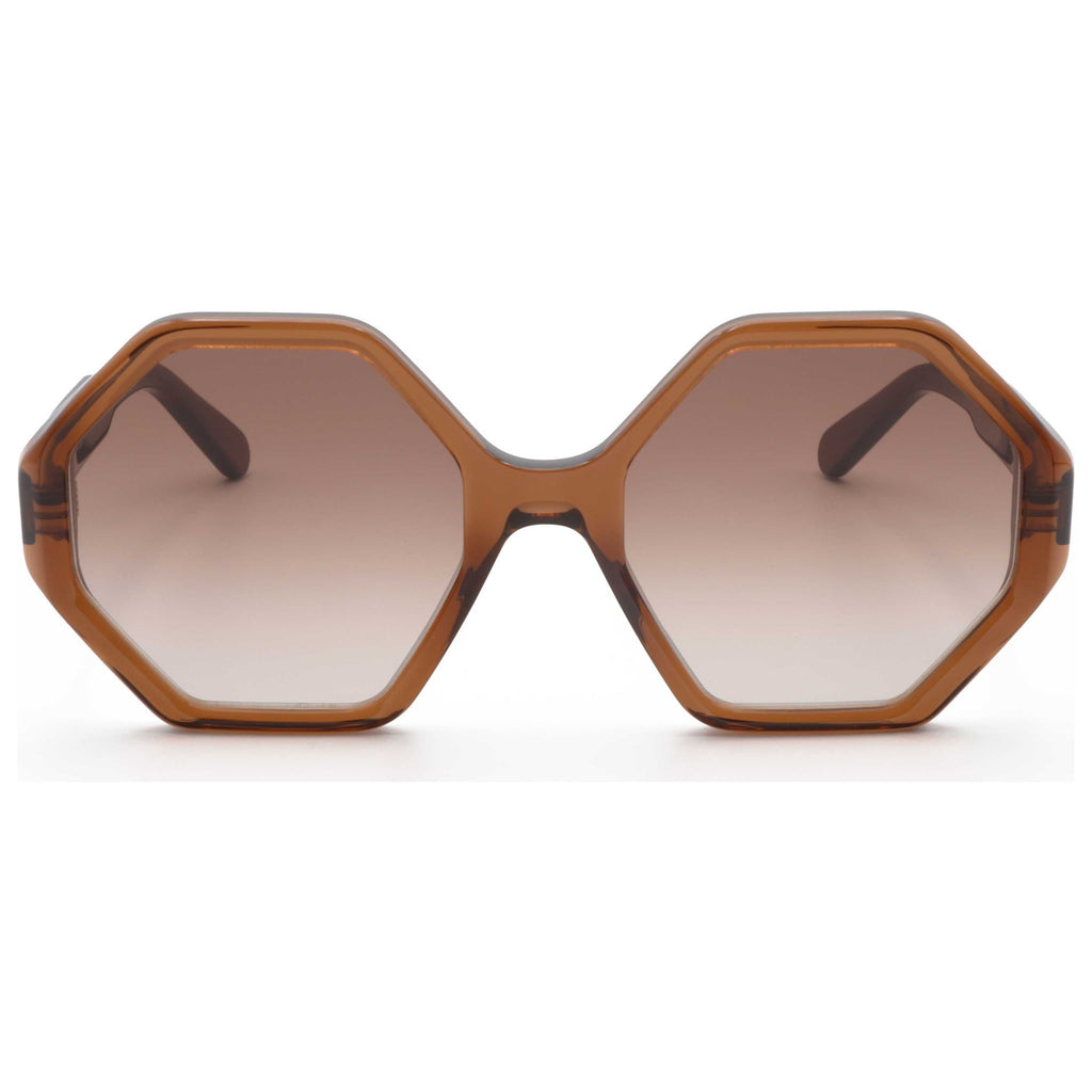 Gafas de Sol Salvatore Ferragamo Marrón Geométrica SF1070S-210