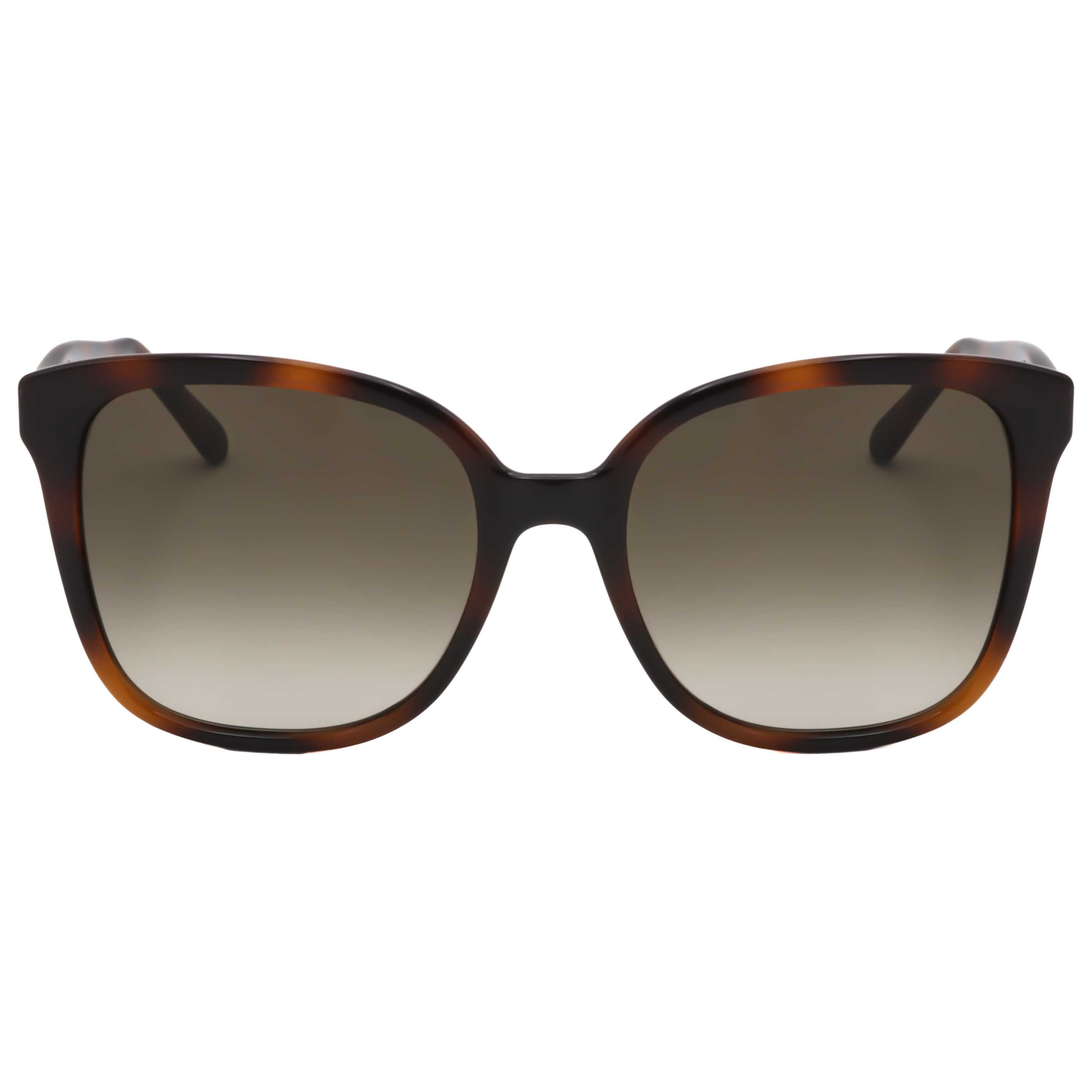 Gafas de Sol Salvatore Ferragamo Marrón Cuadrada SF1072S-240-56