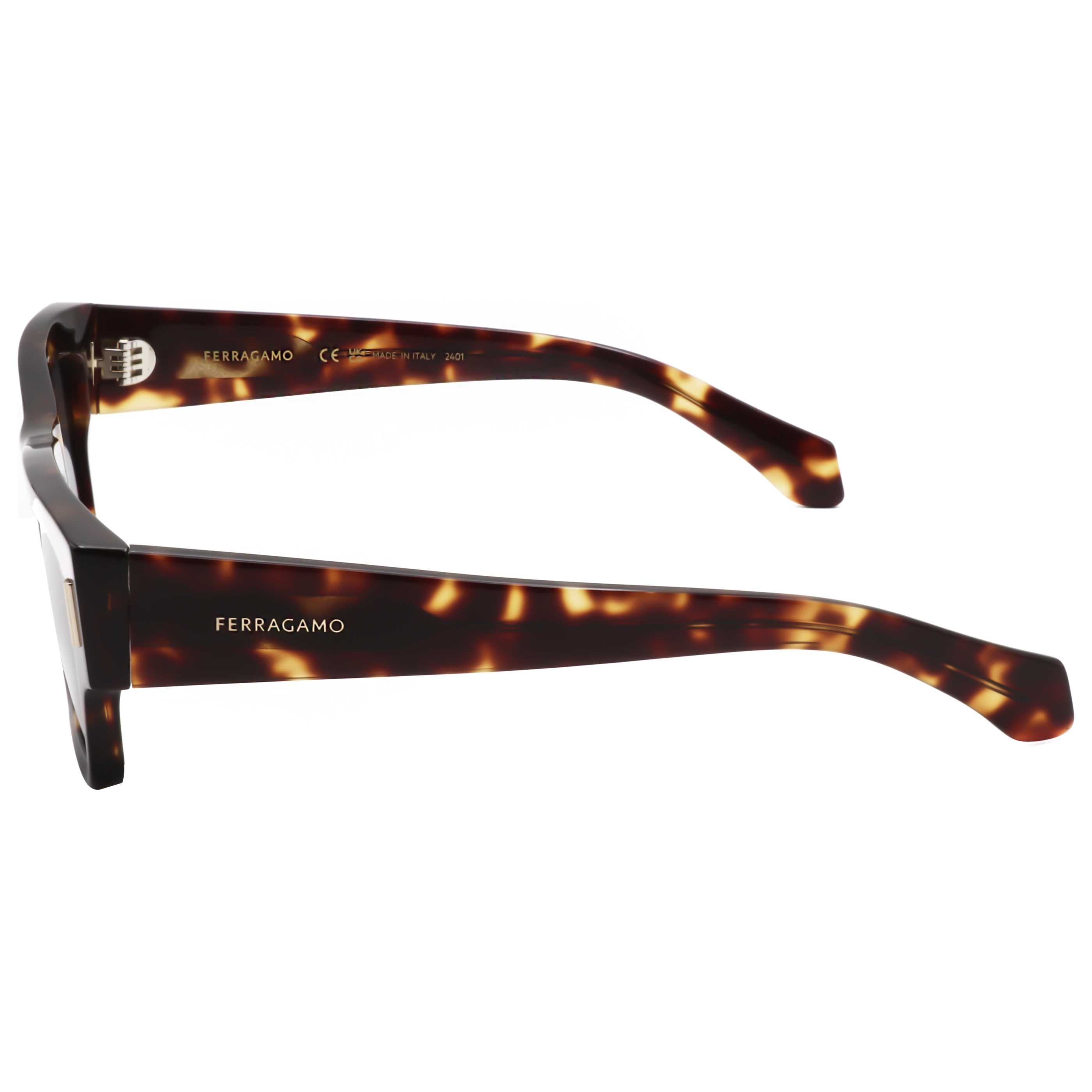 Gafas de Sol Salvatore Ferragamo Marrón Rectangular SF2011S-242-53