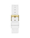 GW0589L1