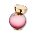 Perfume Halloween My Wish
