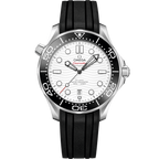 Omega Seamaster 210.32.42.20.04.001