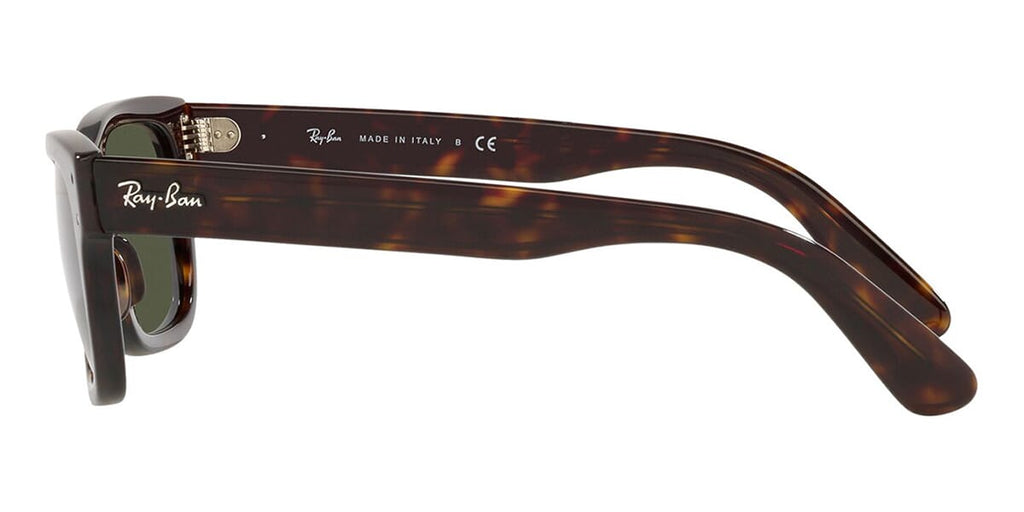 Ray-Ban Mr Burbank RB2283 902/31 lateral