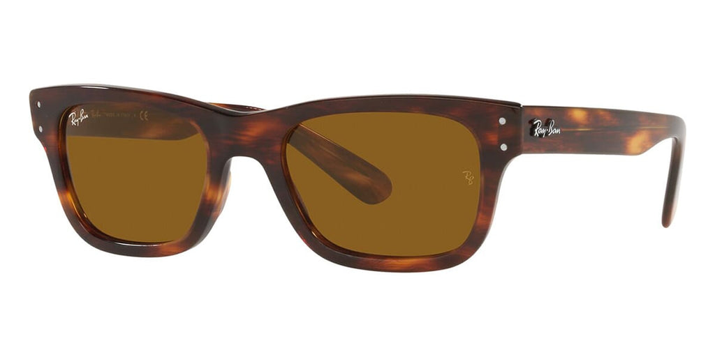 Ray-Ban Mr Burbank RB2283 954/33 frontal