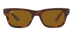 Ray-Ban Mr Burbank RB2283 954/33 angular
